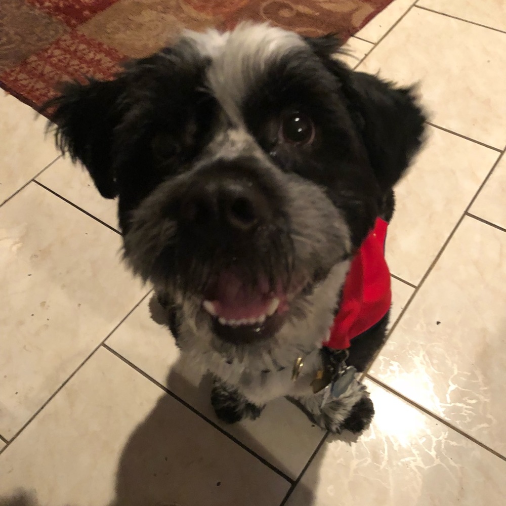 Meet your Posher, Rebecca